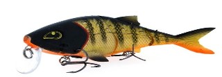 0001_Rozemeijer_sweet_meat_18_cm__[Golden_roach].jpg